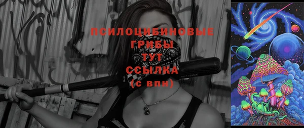 дживик Белоозёрский
