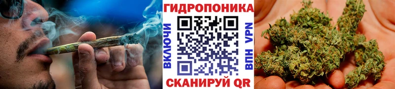 Марихуана Amnesia  даркнет наркотические препараты  Курильск 
